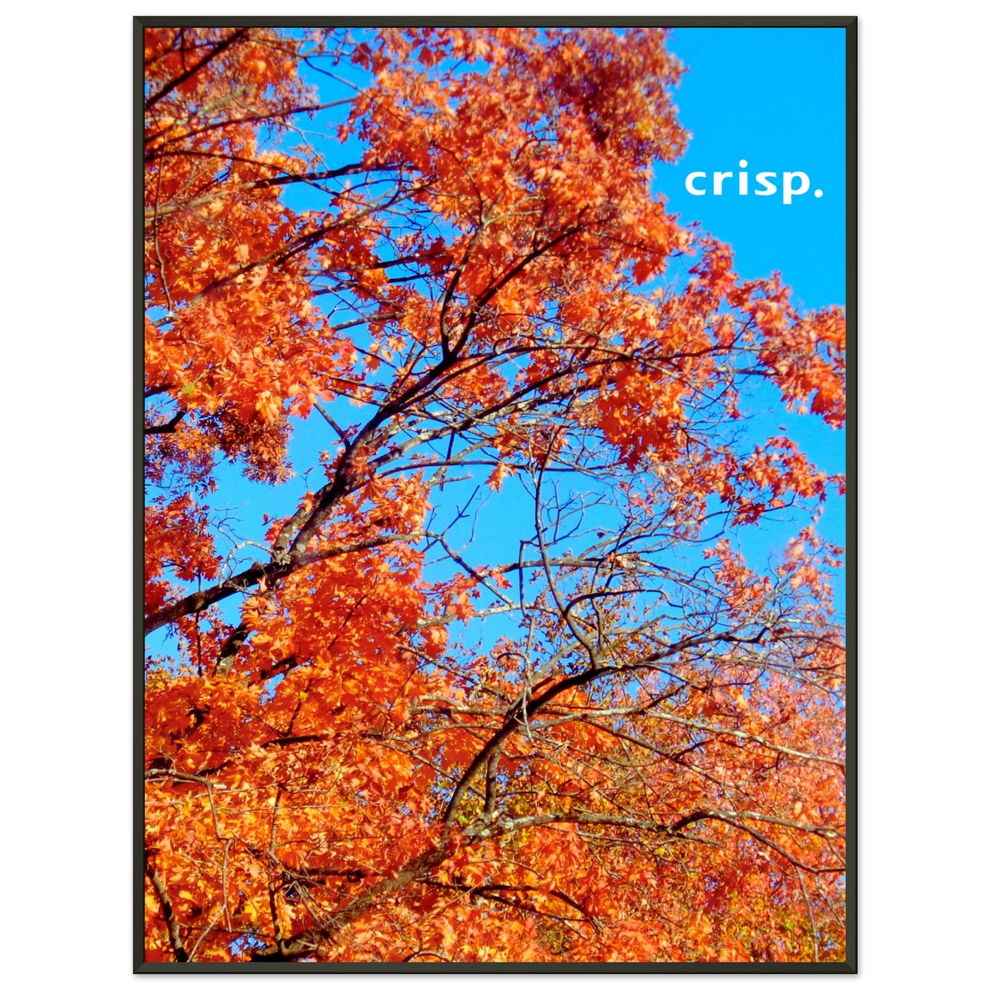 745cdded-0bdb-4123-b4c1-d1b23692dc79