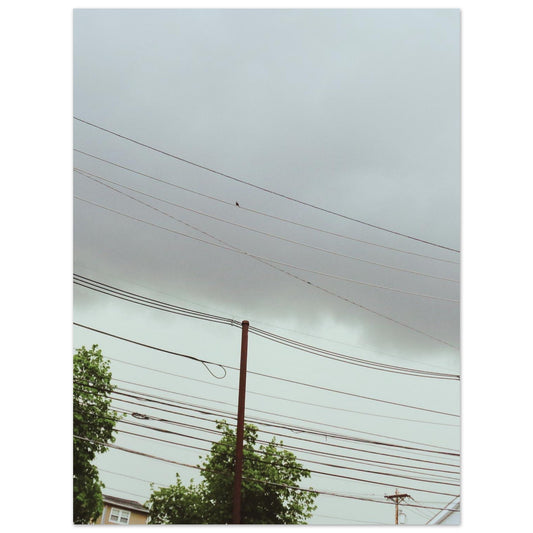 76e066f9-65fe-433d-91a7-3b50ad2e3ad5