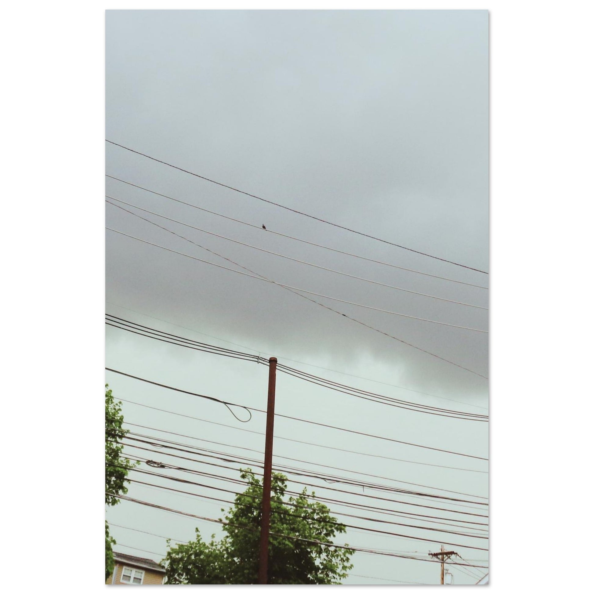 ca70328d-2072-4092-88f9-9fb89de6e622