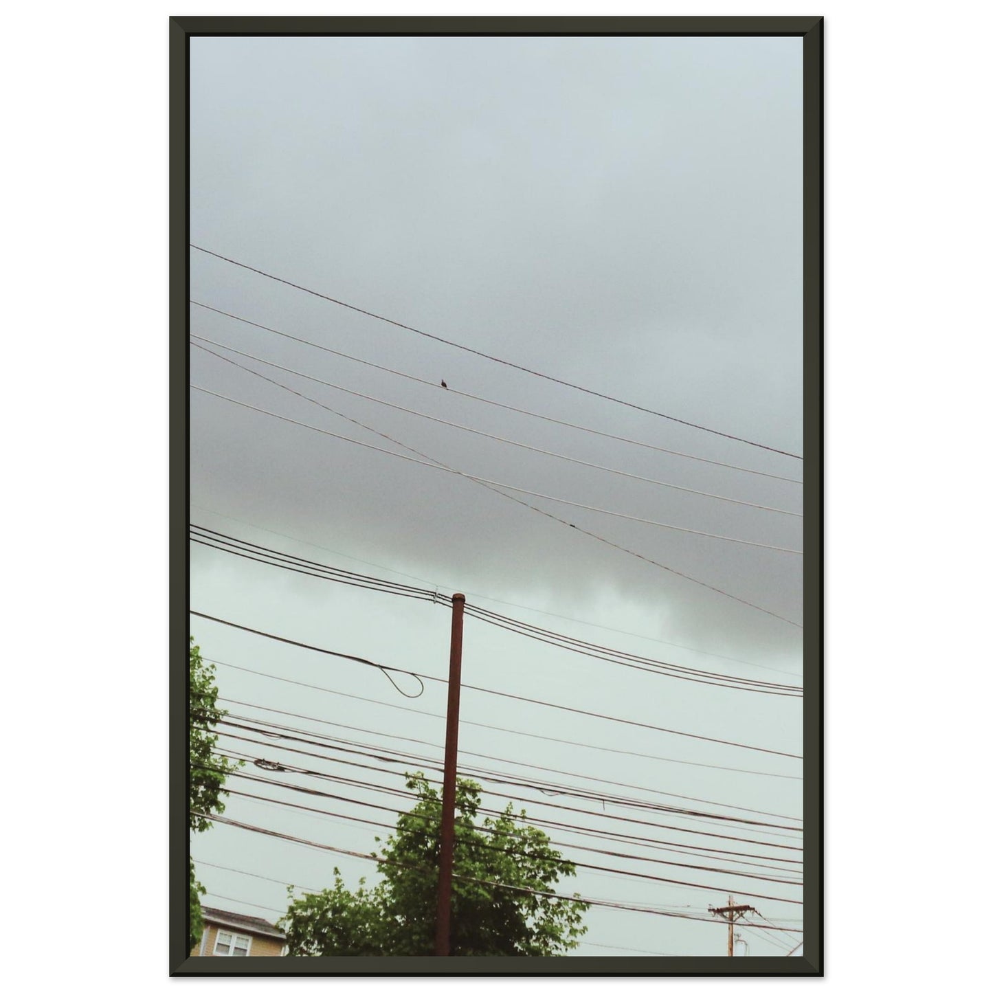 e7278283-0616-4170-9a8b-33c014ceac94